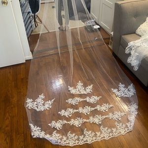 Cathedral length veil with lace trim